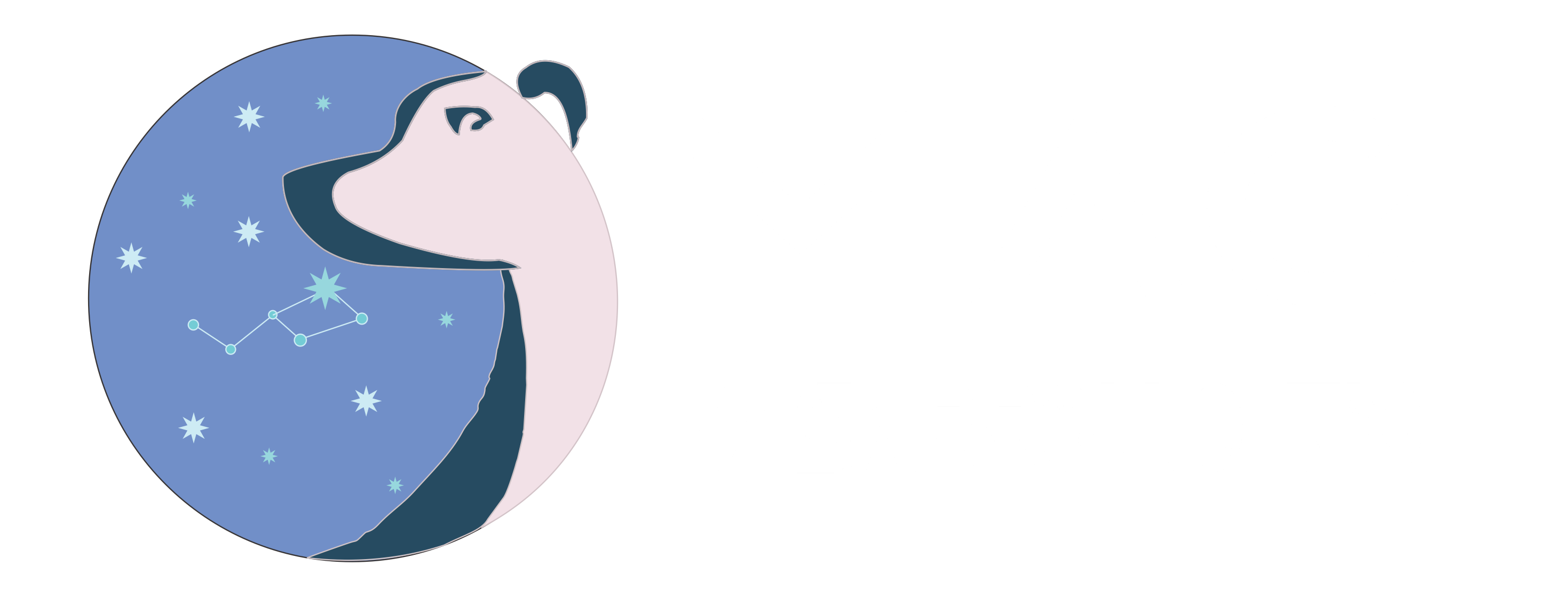 TIC DESARROLLO MAG